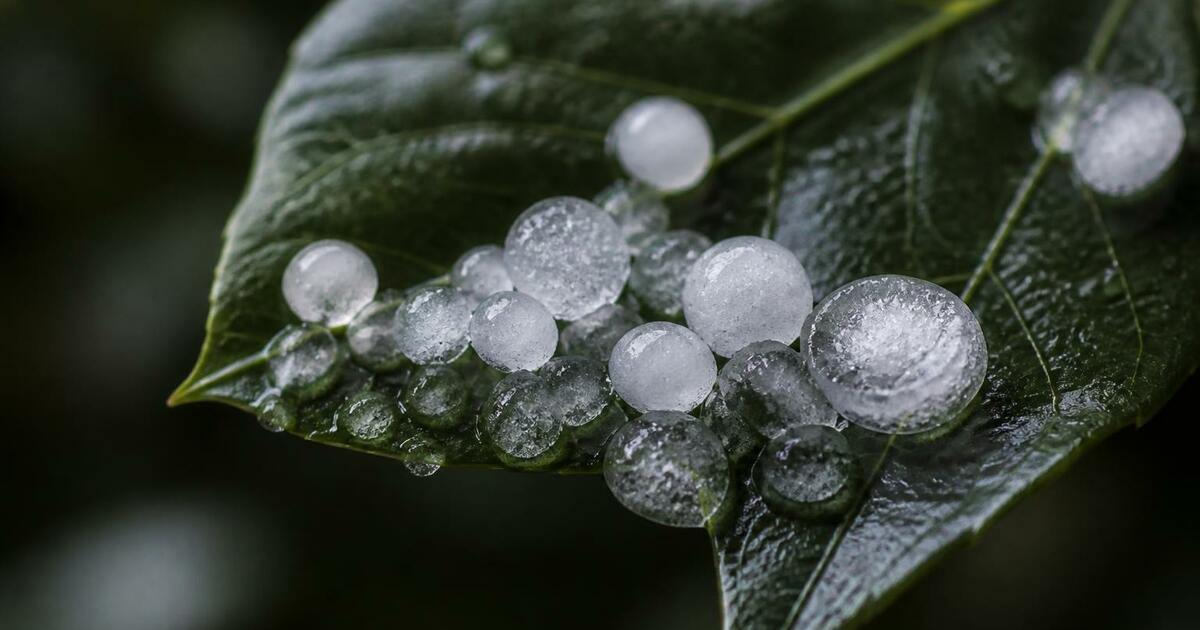 Мощный град обрушился на трассу в Крымском райо...