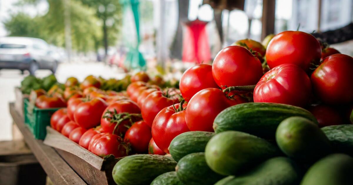Инфляция на Кубани замедлилась: почему сахар дорожит, а помидоры дешевеют Инфляция на Кубани замедлилась до 5,4%. Сахар и...
